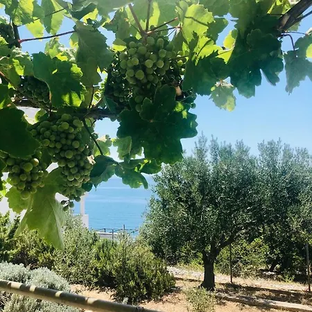 Dani Sea & Pool * 特罗吉尔