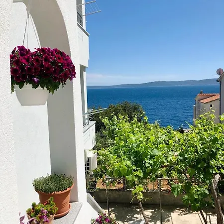 Dani Sea & Pool 公寓 *