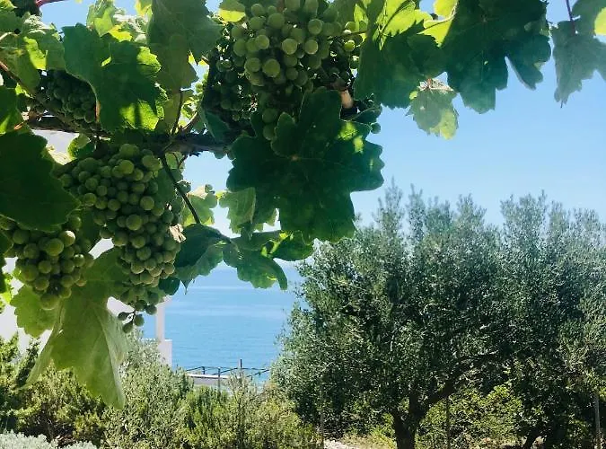 Dani Sea & Pool * Τρογκίρ